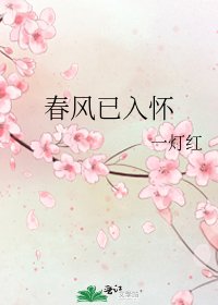 等风来