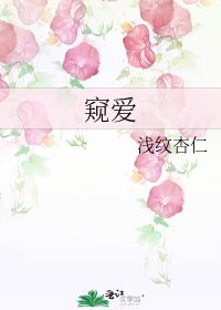 窥爱