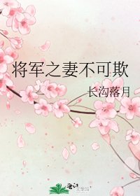 将军之妻不可欺