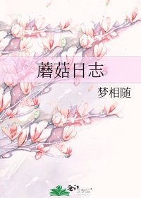 蘑菇日志