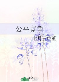 公平竞争