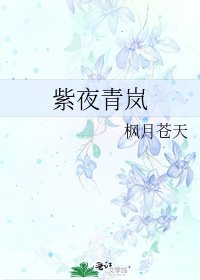 紫夜青嵐