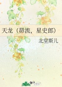 天龙(昴流,星史郎)