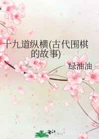 十九道纵横(古代围棋的故事)