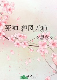 死神-碧风无痕