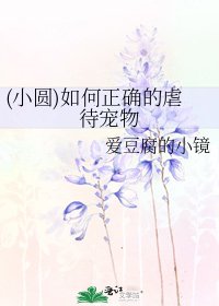 (小圆)如何正确的虐待宠物