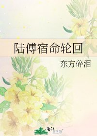 陆傅宿命轮回