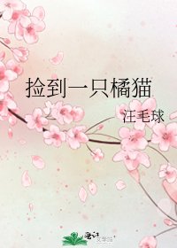 撿到一隻橘貓