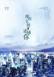 現在立刻,逮捕你