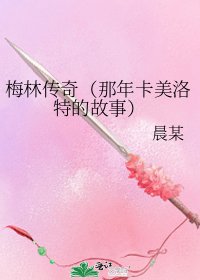 梅林传奇(那年卡美洛特的故事)