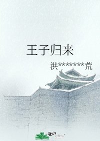 王子归来