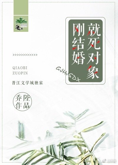刚结婚就死对象!