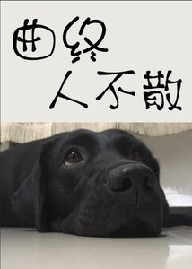 曲終人不散
