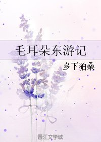 毛耳朵东游记
