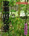 遍地桃花