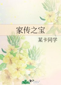 家传之宝