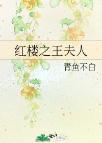 紅樓之王夫人