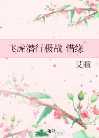 飞虎潜行极战-惜缘