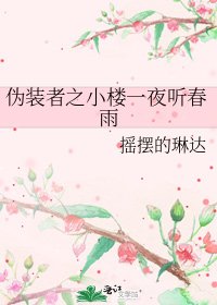 伪装者之小楼一夜听春雨
