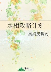 丞相攻略計劃