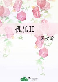 孤狼II