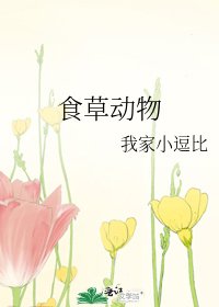 食草动物
