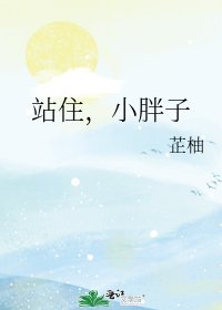 站住,小胖子