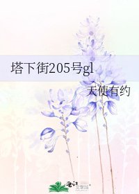 塔下街205号gl