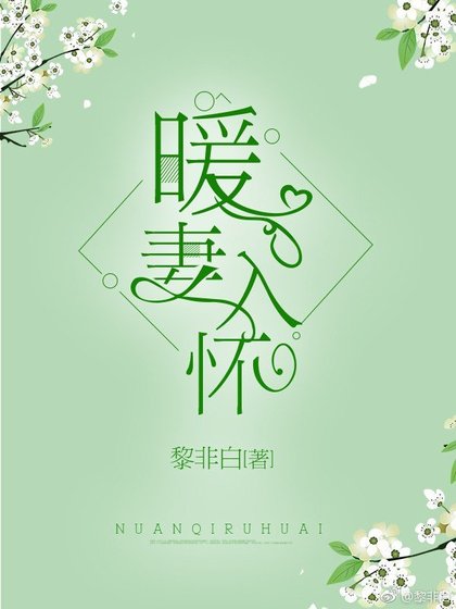 暖妻入怀
