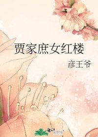 賈家庶女紅樓