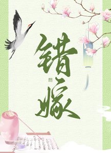 错嫁(重生)