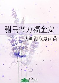 驸马爷万福金安
