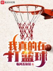 我真的在打篮肪