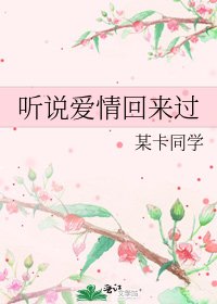 听说爱情回来过