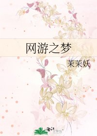 網遊之夢
