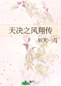 天決之風翔傳