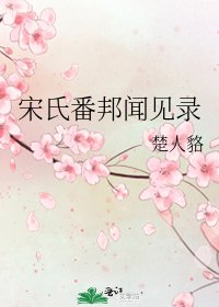 宋氏番邦闻见录