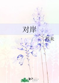 對岸