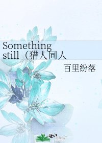 Something still(獵人同人)(新流星年華)
