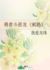 勇者鬥惡龍(索路)