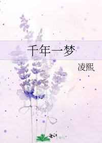 千年一夢