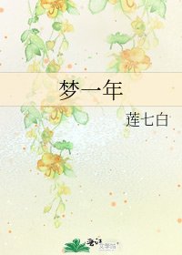 梦一年