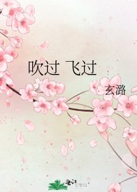 吹过 飞过