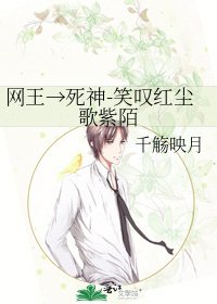 網王→死神-笑嘆紅塵歌紫陌