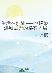生活在别处——也谈梁鸿和孟光的举案齐眉