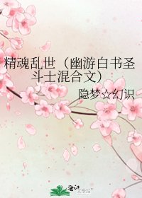 精魂乱世(幽游白书圣斗士混合文)
