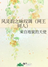 风灵韵之咏叹调(网王同人)
