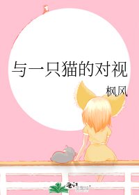 與一隻貓的對視