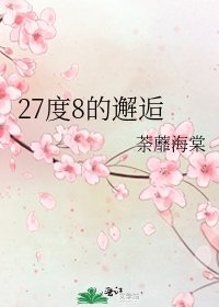 27度8的邂逅