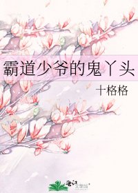 霸祷少爺的鬼丫頭